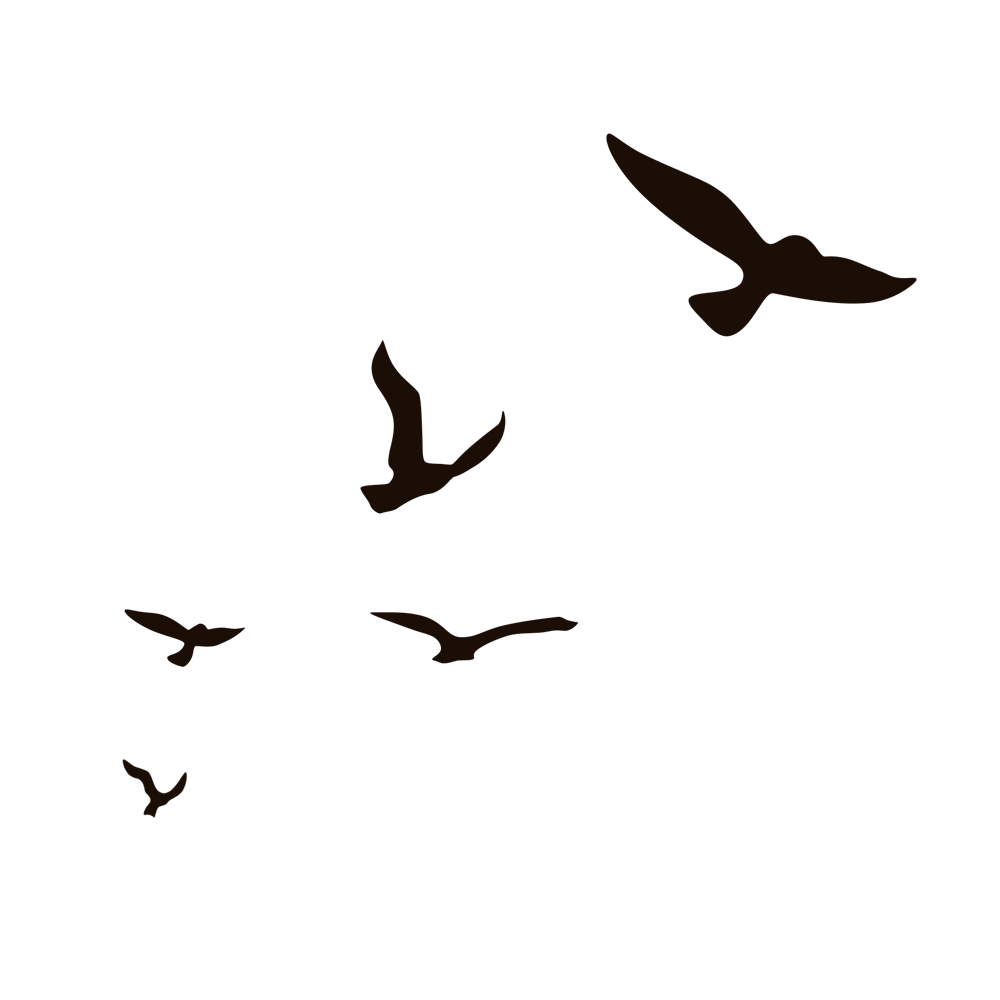 Flying Bird