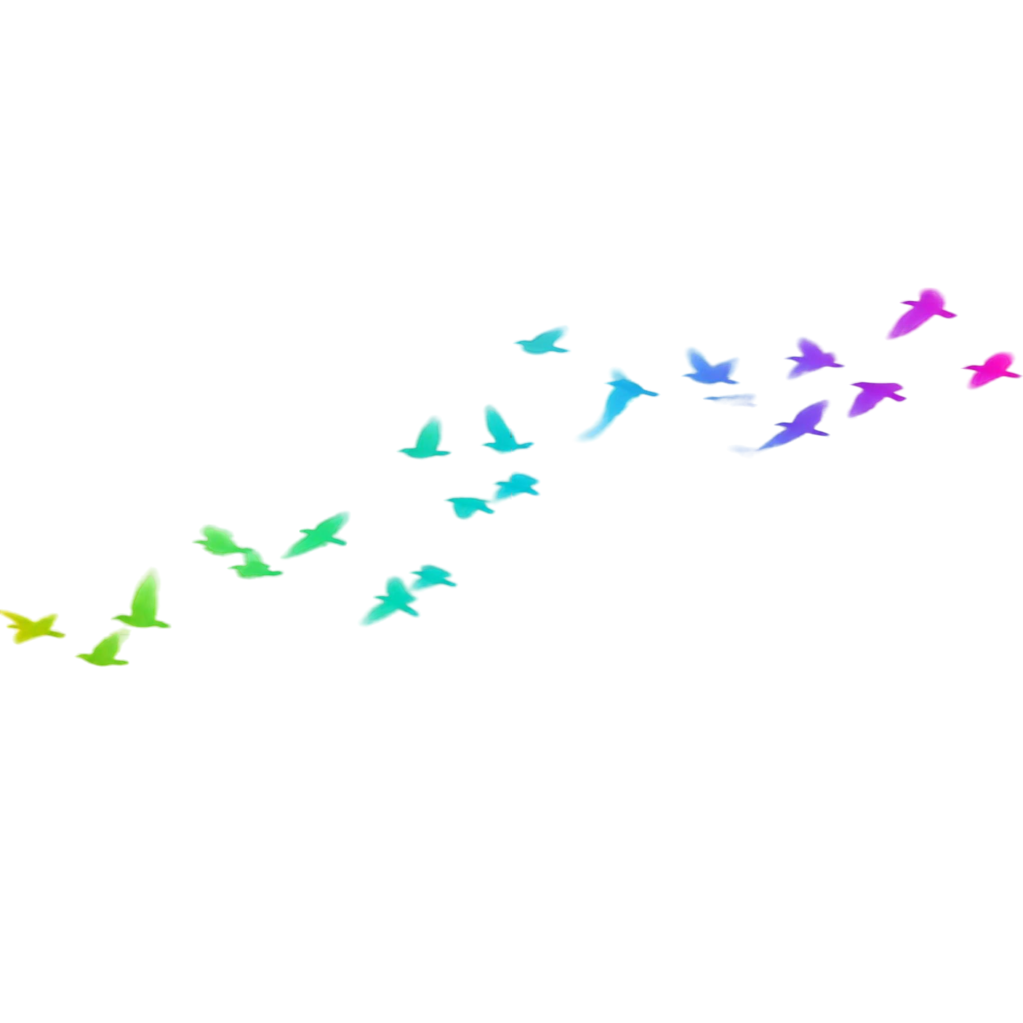 flying bird